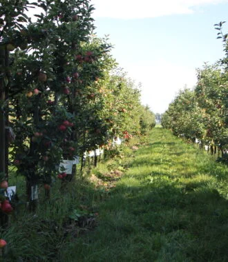 Landgoed De Olmenhorst